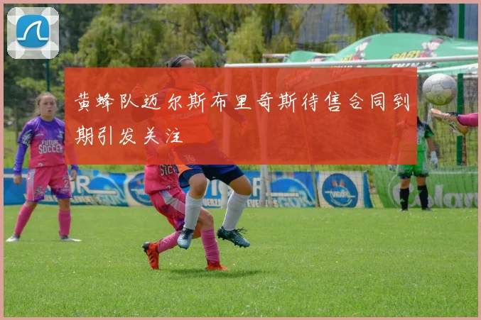 黄蜂队迈尔斯布里奇斯待售合同到期引发关注
