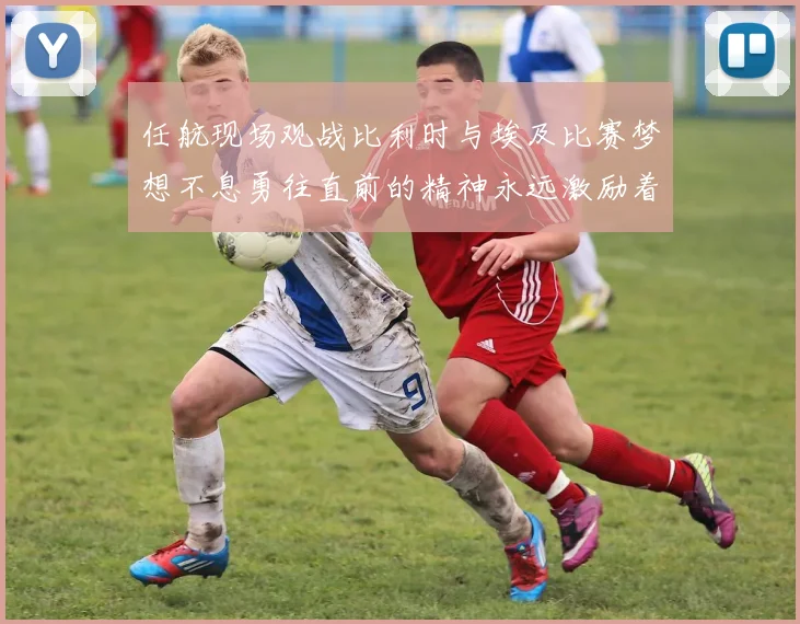 任航现场观战比利时与埃及比赛梦想不息勇往直前的精神永远激励着我们
