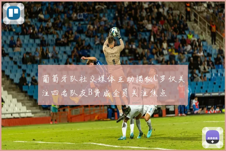 葡萄牙队社交媒体互动揭秘C罗仅关注四名队友B费成全员关注焦点